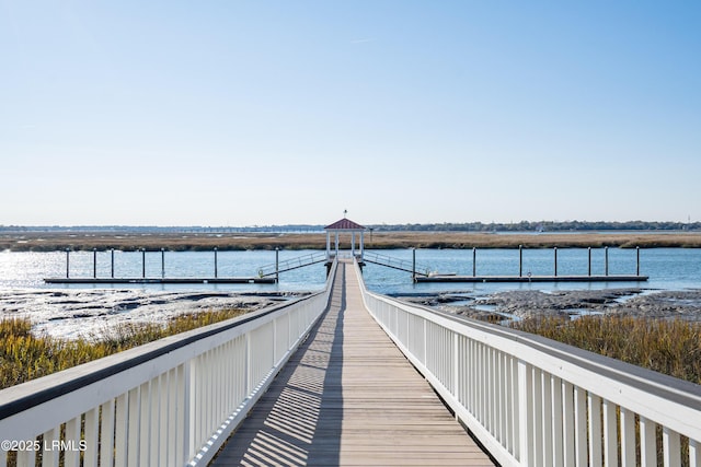 dock area with a water view