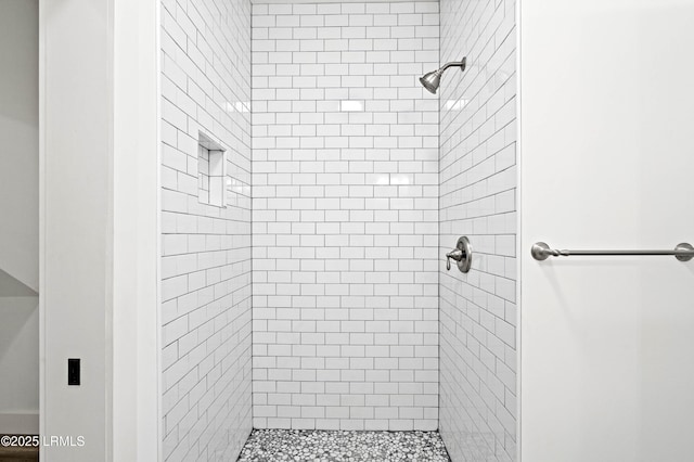 bathroom featuring a shower stall