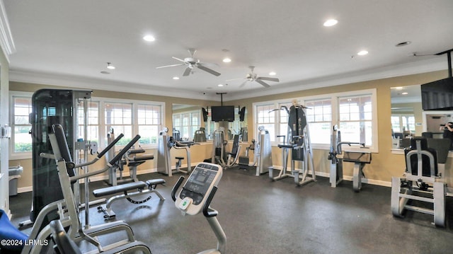 workout area with crown molding and a wealth of natural light