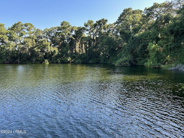 property view of water with a wooded view