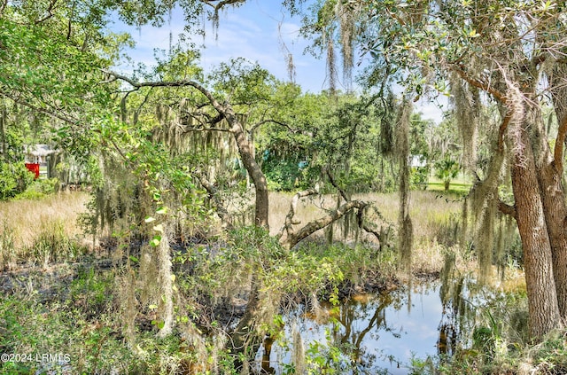 view of nature