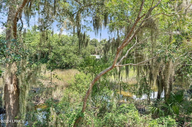 view of local wilderness featuring a forest view
