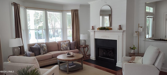 living room featuring crown molding, hardwood / wood-style floors, and a wealth of natural light