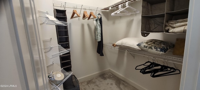 spacious closet with carpet floors