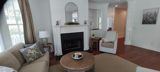 living room with crown molding, a wealth of natural light, and dark hardwood / wood-style flooring