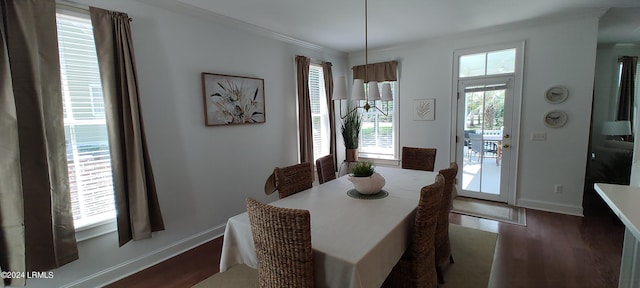 dining room with crown molding and dark hardwood / wood-style floors