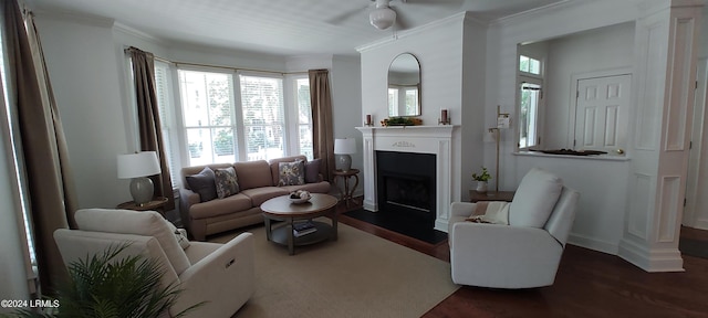 living room featuring crown molding, ceiling fan, and dark hardwood / wood-style floors