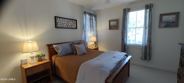 view of carpeted bedroom