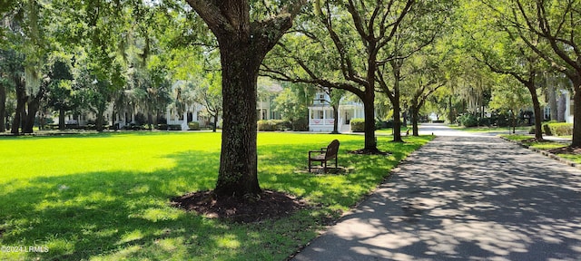 surrounding community with a yard