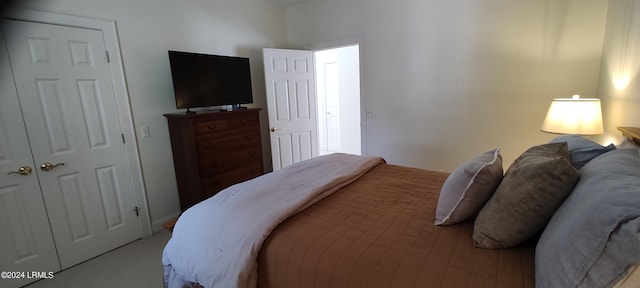 bedroom with a closet