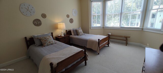 bedroom featuring multiple windows and carpet floors