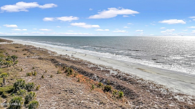 property view of water with a beach view