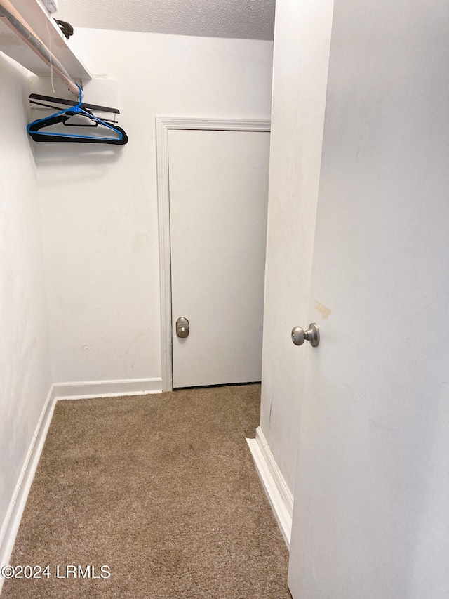 walk in closet featuring carpet flooring