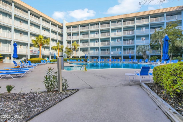 view of swimming pool featuring a patio area