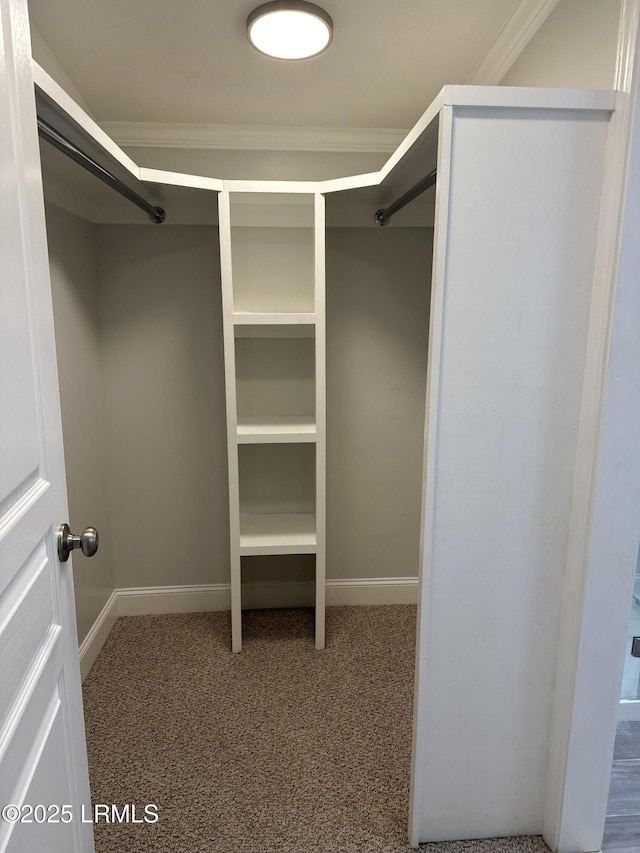 14007 Kader St, Beaufort, SC 29906 - spacious closet with carpet
