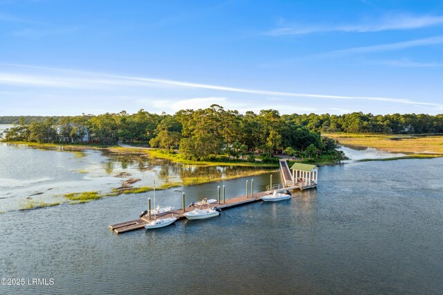 18 Oak Pond Psge, Beaufort, SC 29906 - photo 84