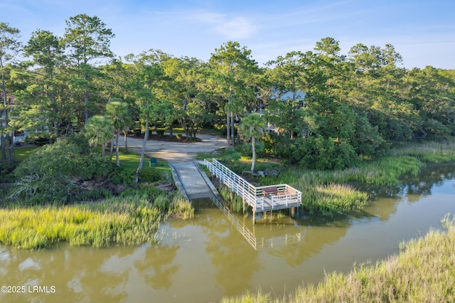 18 Oak Pond Psge, Beaufort, SC 29906 - photo 90