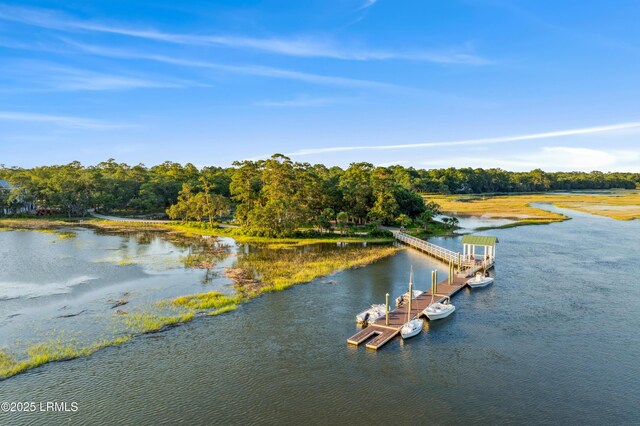 18 Oak Pond Psge, Beaufort, SC 29906 - photo 83