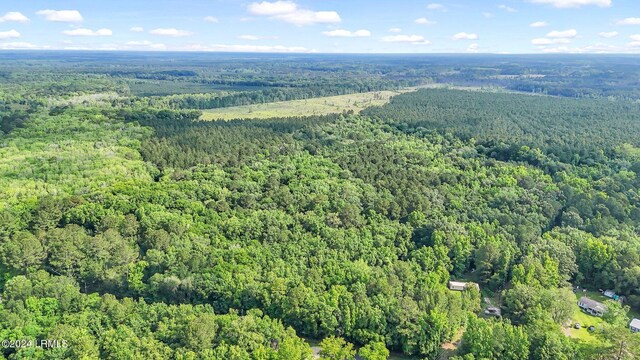 385 Kress Rd, Yemassee, SC 29945 - photo 5
