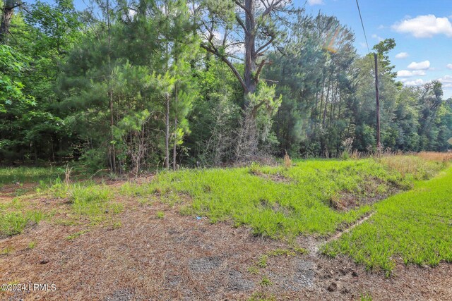 385 Kress Rd, Yemassee, SC 29945 - photo 18