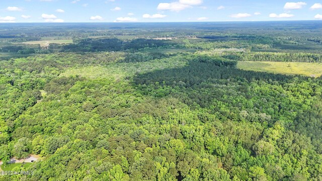 385 Kress Rd, Yemassee, SC 29945 - photo 8