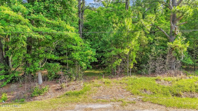 385 Kress Rd, Yemassee, SC 29945 - photo 14