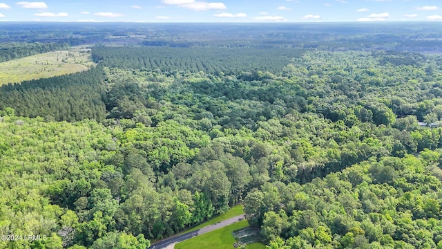 385 Kress Rd, Yemassee, SC 29945 - photo 4