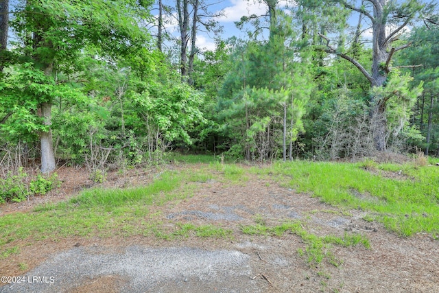 385 Kress Rd, Yemassee, SC 29945 - photo 17