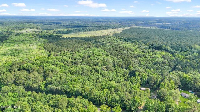 385 Kress Rd, Yemassee, SC 29945 - photo 6