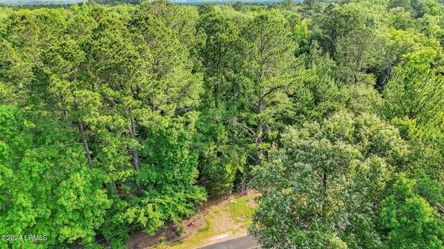 385 Kress Rd, Yemassee, SC 29945 - photo 12