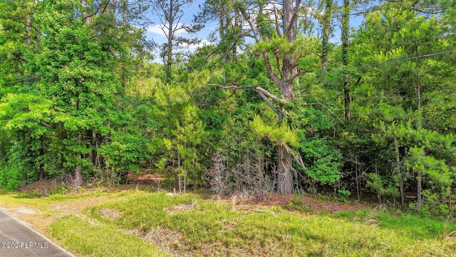 385 Kress Rd, Yemassee, SC 29945 - photo 16