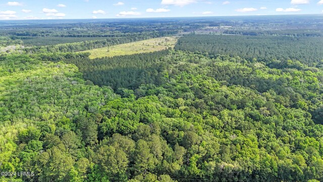 385 Kress Rd, Yemassee, SC 29945 - photo 2