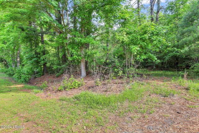 385 Kress Rd, Yemassee, SC 29945 - photo 19