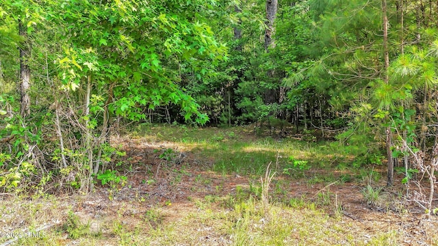 385 Kress Rd, Yemassee, SC 29945 - photo 15