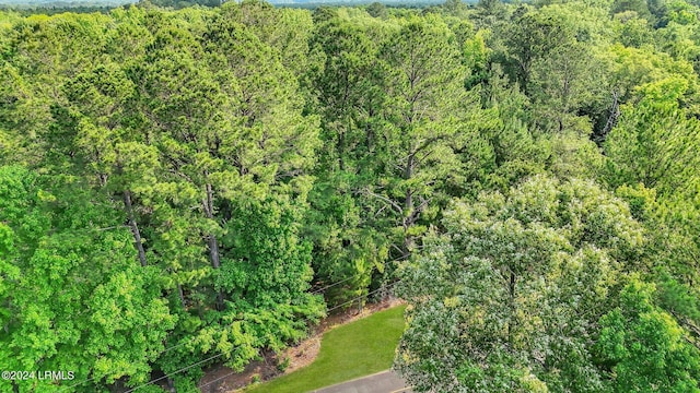 385 Kress Rd, Yemassee, SC 29945 - photo 13