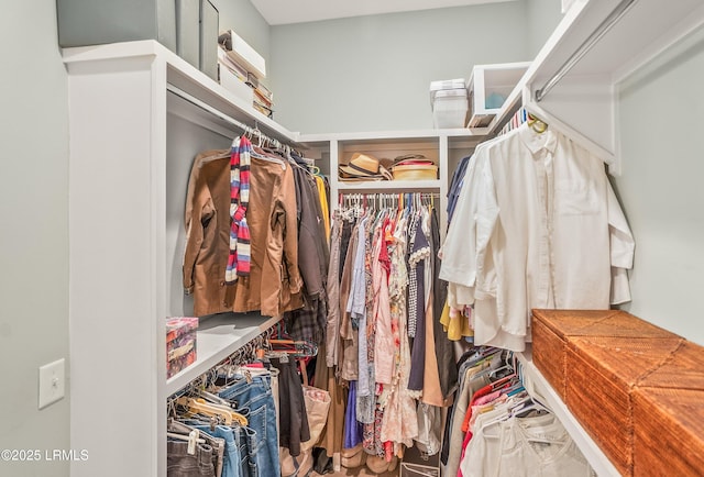 view of spacious closet