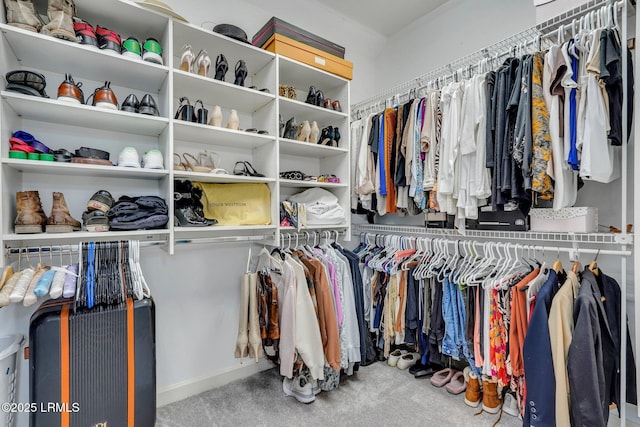 walk in closet featuring carpet