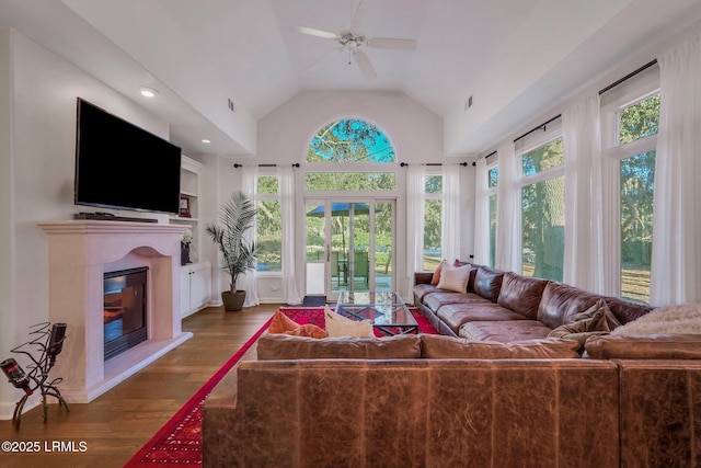 living room with lofted ceiling, dark hardwood / wood-style floors, and a healthy amount of sunlight