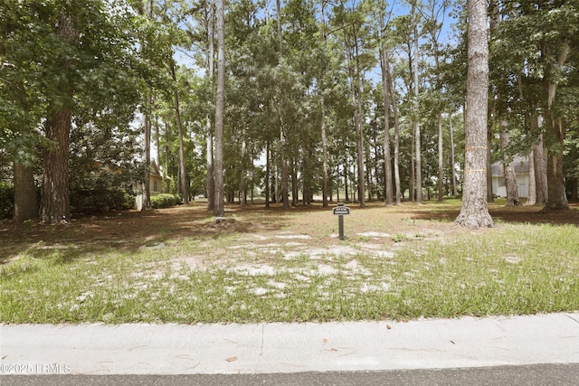 47 Manchester Ct, Bluffton, SC 29910 - photo 25