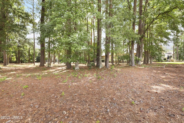 47 Manchester Ct, Bluffton, SC 29910 - photo 23
