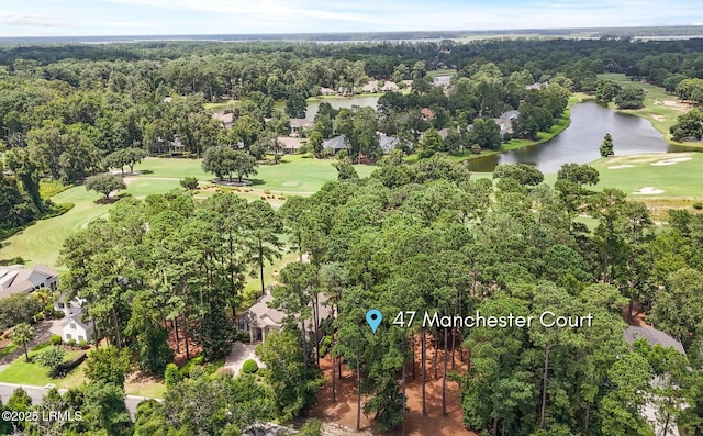47 Manchester Ct, Bluffton, SC 29910 - photo 26