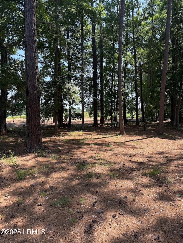 47 Manchester Ct, Bluffton, SC 29910 - photo 13