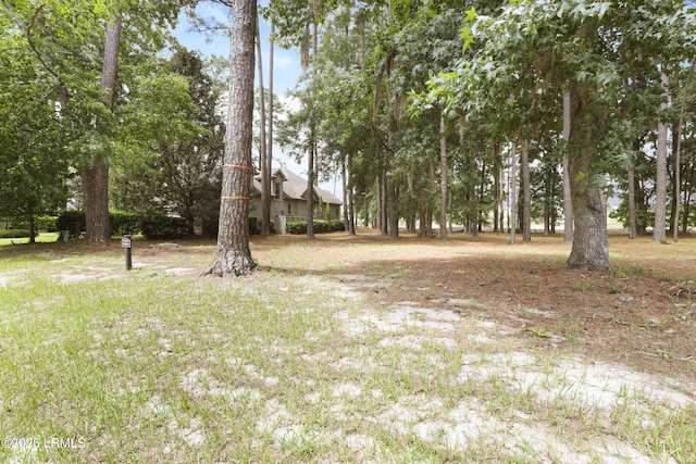 47 Manchester Ct, Bluffton, SC 29910 - photo 6