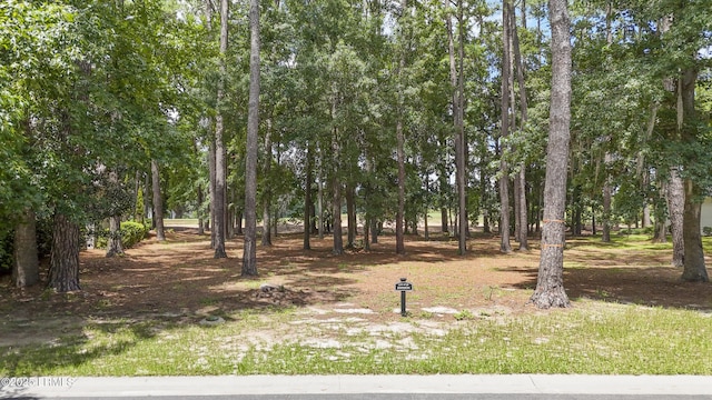 47 Manchester Ct, Bluffton, SC 29910 - photo 2