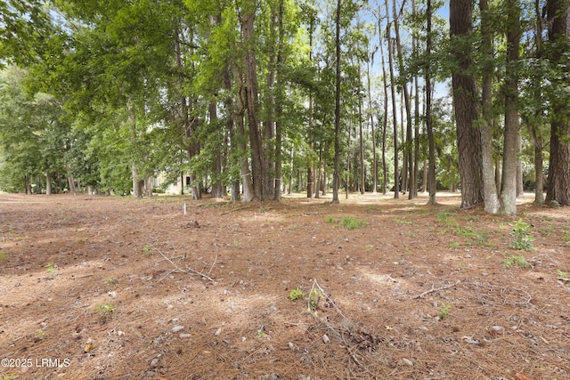 47 Manchester Ct, Bluffton, SC 29910 - photo 7
