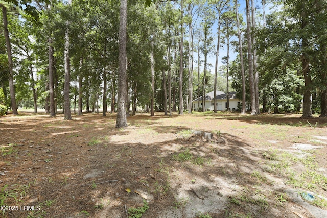 47 Manchester Ct, Bluffton, SC 29910 - photo 5
