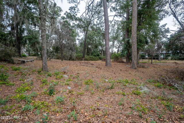 2307 Wilson Dr, Beaufort, SC 29902 - photo 14