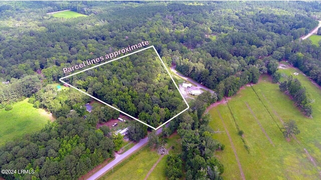 Tbd Wagon Branch Loop, Ridgeland SC, 29936 land for sale