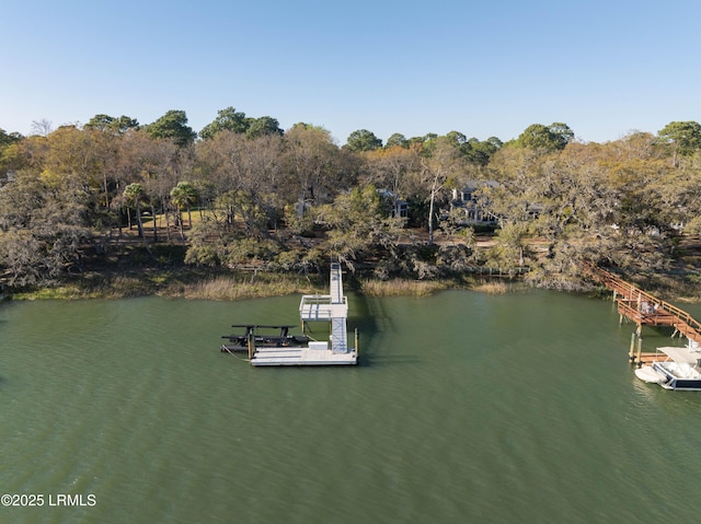 390 Distant Island Dr, Beaufort, SC 29907 - photo 81