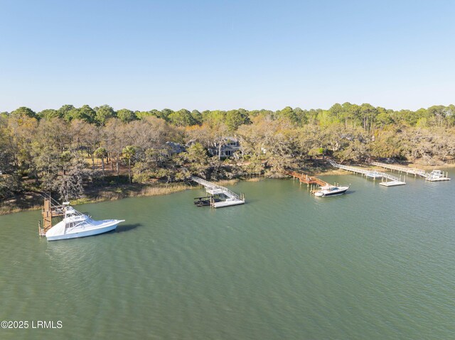 390 Distant Island Dr, Beaufort, SC 29907 - photo 82